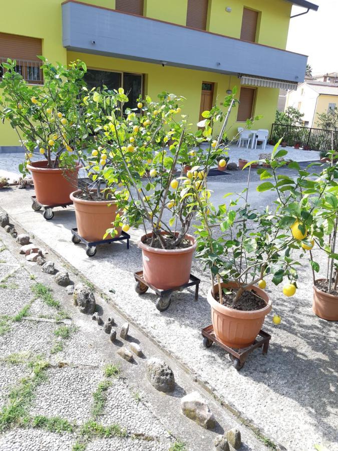 Casa Gli Ulivi Montepulciano Stazione