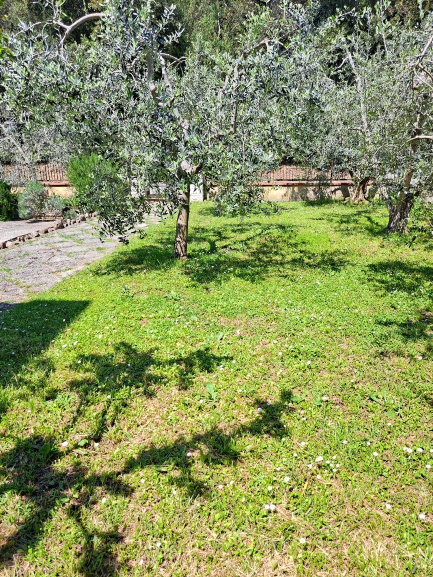 Casa Gli Ulivi