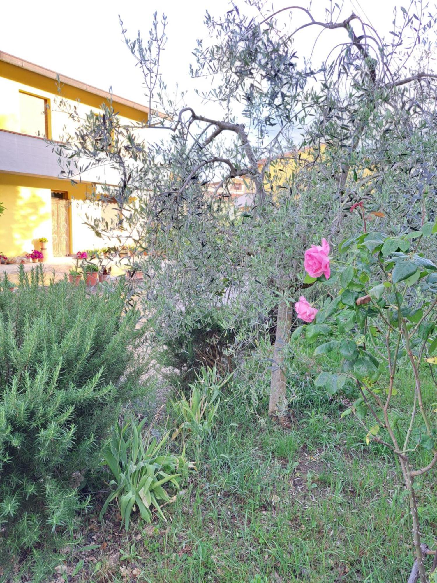 Casa Gli Ulivi Casa de Férias Montepulciano Stazione